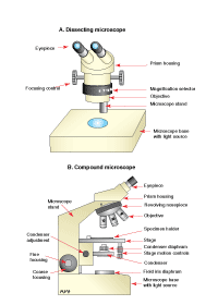 Microscopes