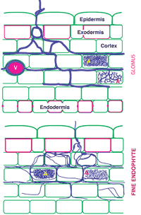 Figure 3.7 