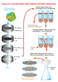 Figure 3.9 