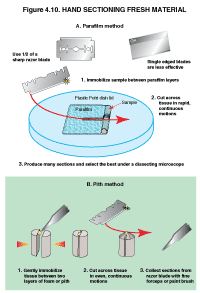 Figure 4.4