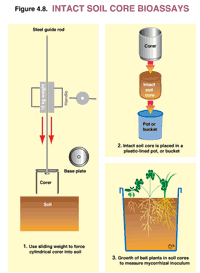 Figure 4.3