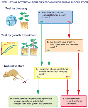 Figure 6.2