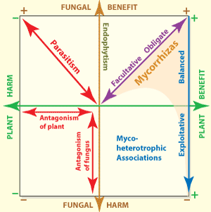 Figure symb-assoc