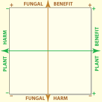 Axis of graph