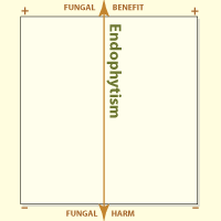 Axis of graph