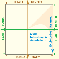 Axis of graph