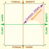 Axis of graph