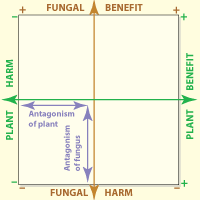 Axis of graph