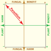 Axis of graph