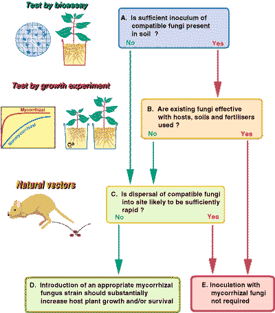 Decision making process (20KB)